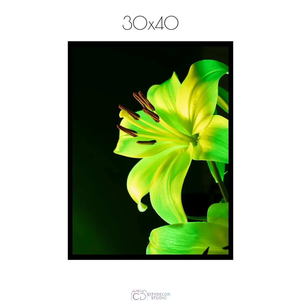 Постер Citydecor Цветы арт. 13 (1 постер 30x40 см без рамы)