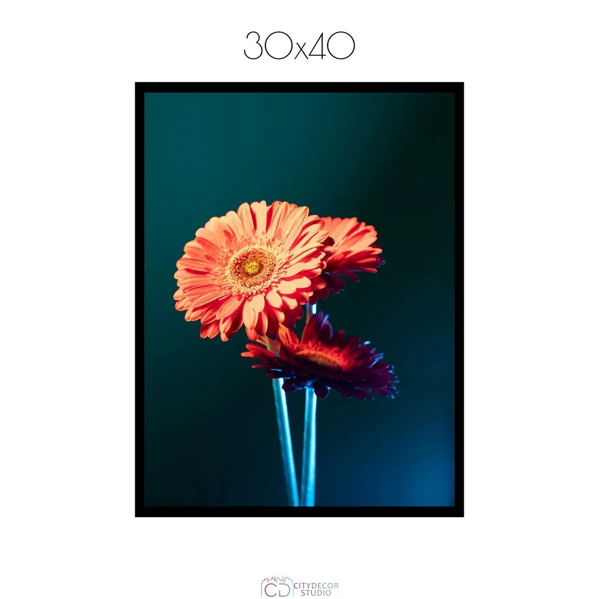 Постер Citydecor Цветы арт. 1 (1 постер 30x40 см без рамы)