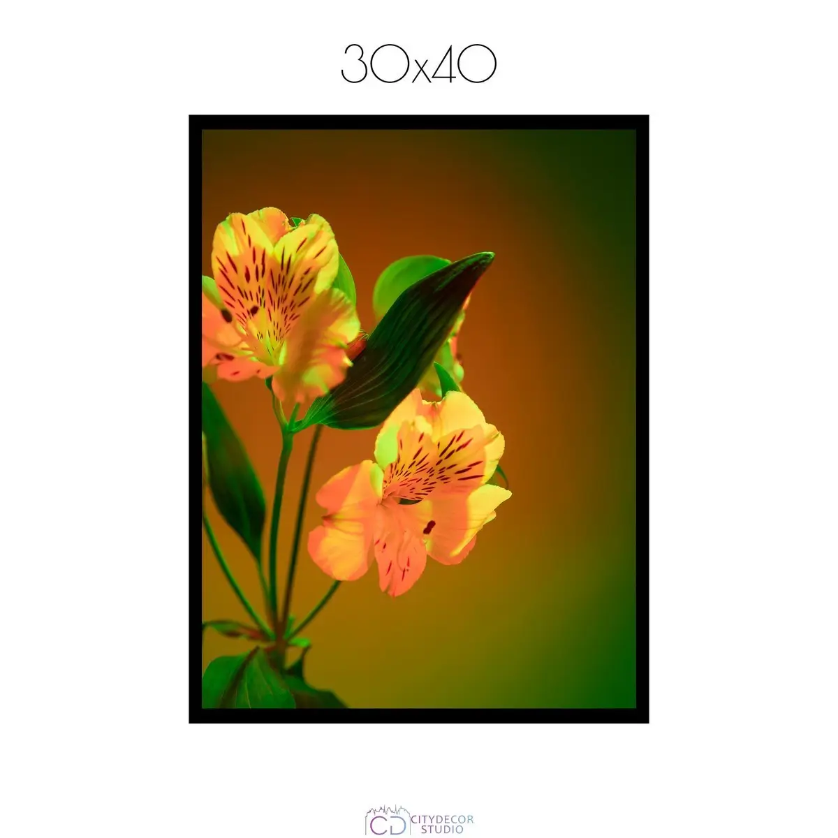 Постер Citydecor Цветы арт. 4 (1 постер 30x40 см без рамы)