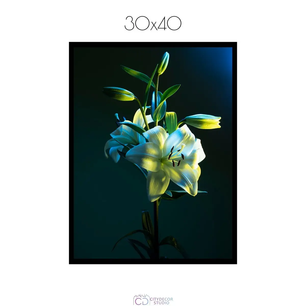 Постер Citydecor Цветы арт. 6 (1 постер 30x40 см без рамы)
