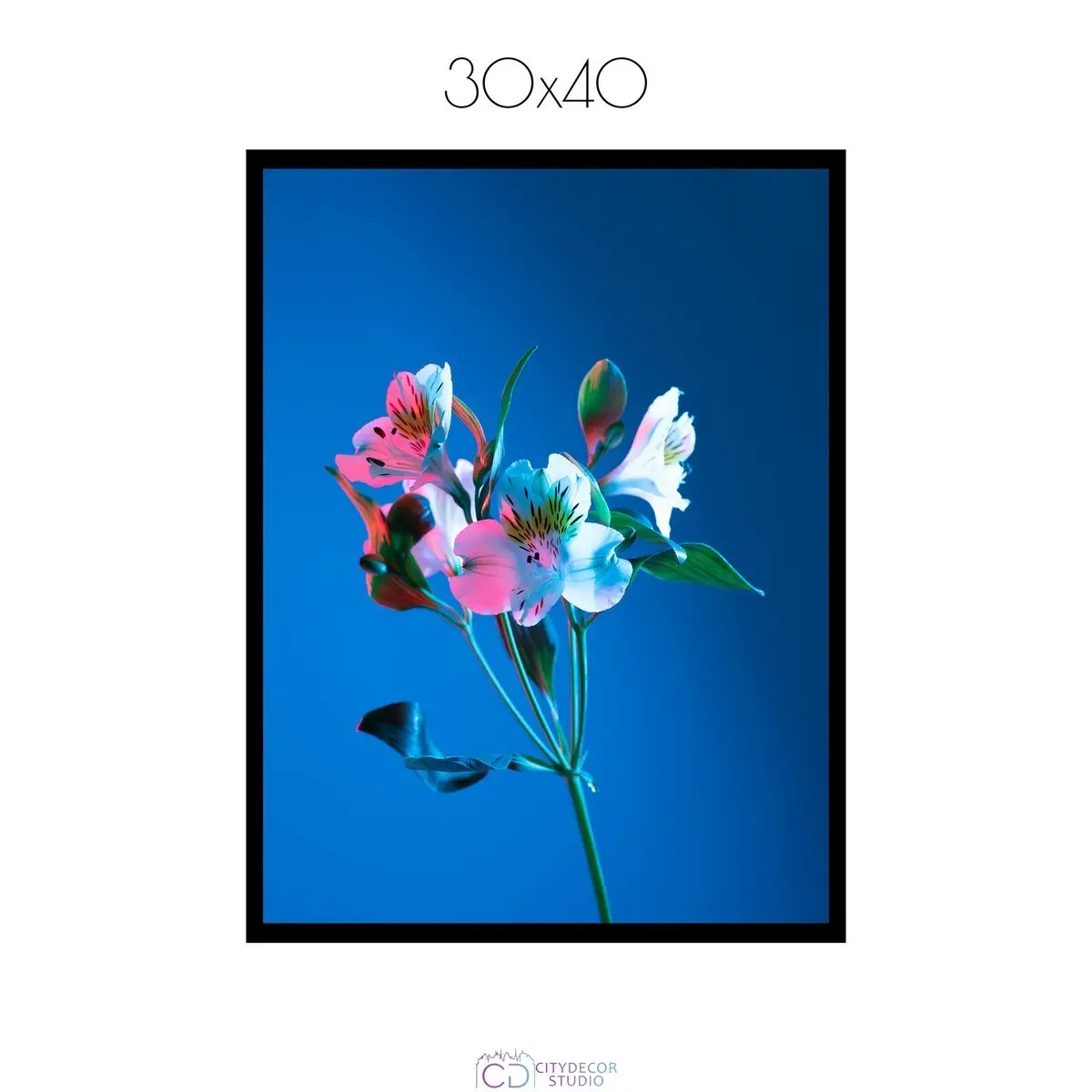 Постер Citydecor Цветы арт. 8 (1 постер 30x40 см без рамы)