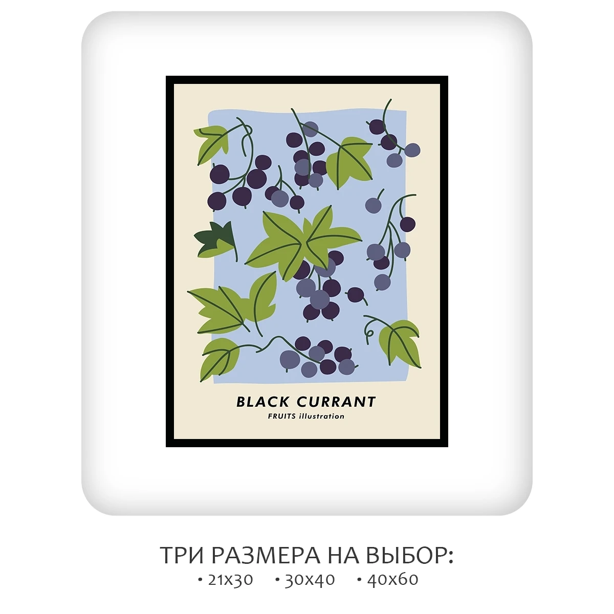 Постер Citydecor Фрукты арт. 10 (1 постер 30x40 см без рамы)