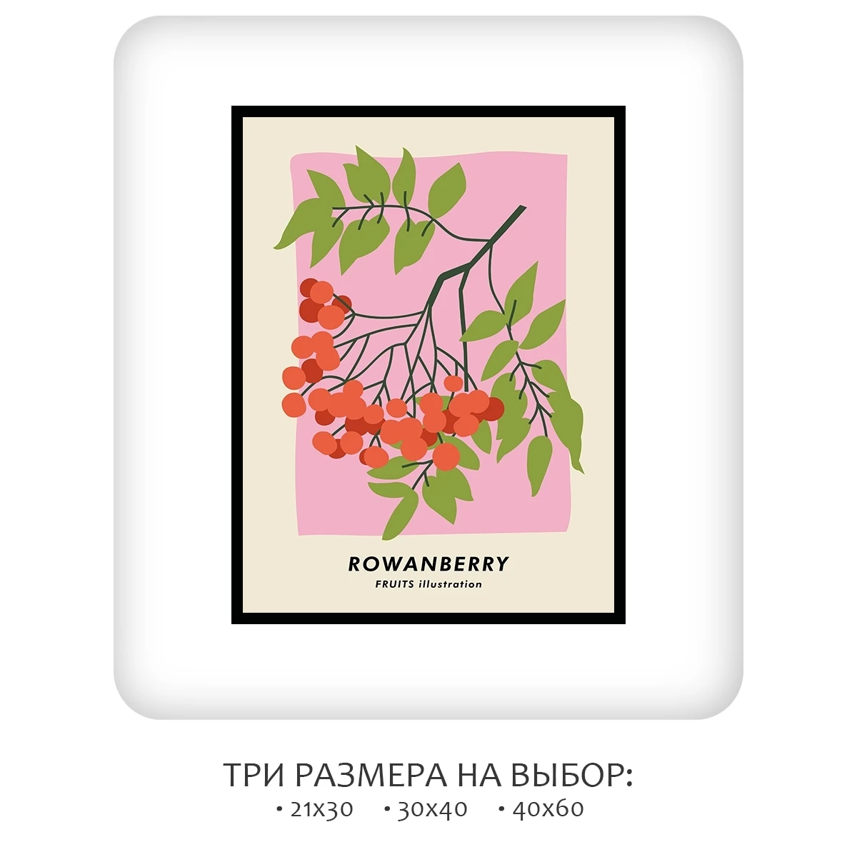 Постер Citydecor Фрукты арт. 4 (1 постер 30x40 см без рамы)