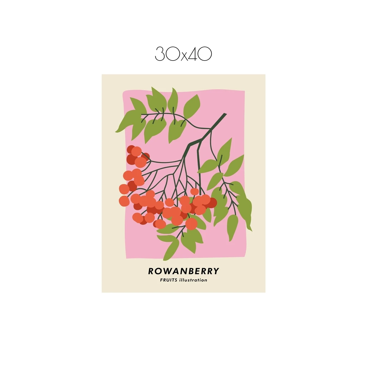 Постер Citydecor Фрукты арт. 4 (1 постер 30x40 см без рамы)