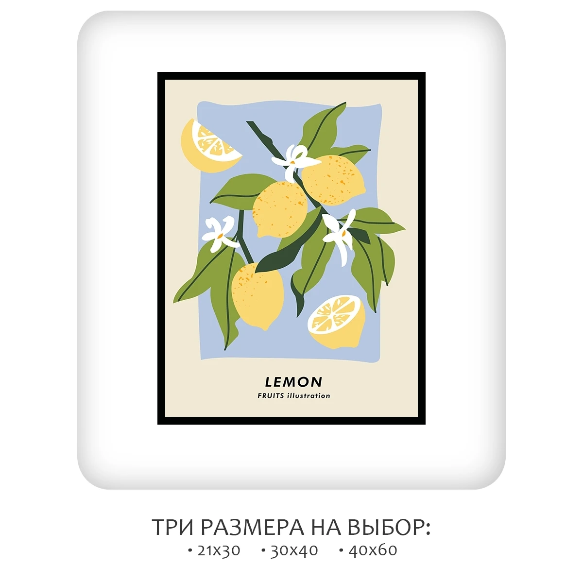 Постер Citydecor Фрукты арт. 5 (1 постер 30x40 см без рамы)