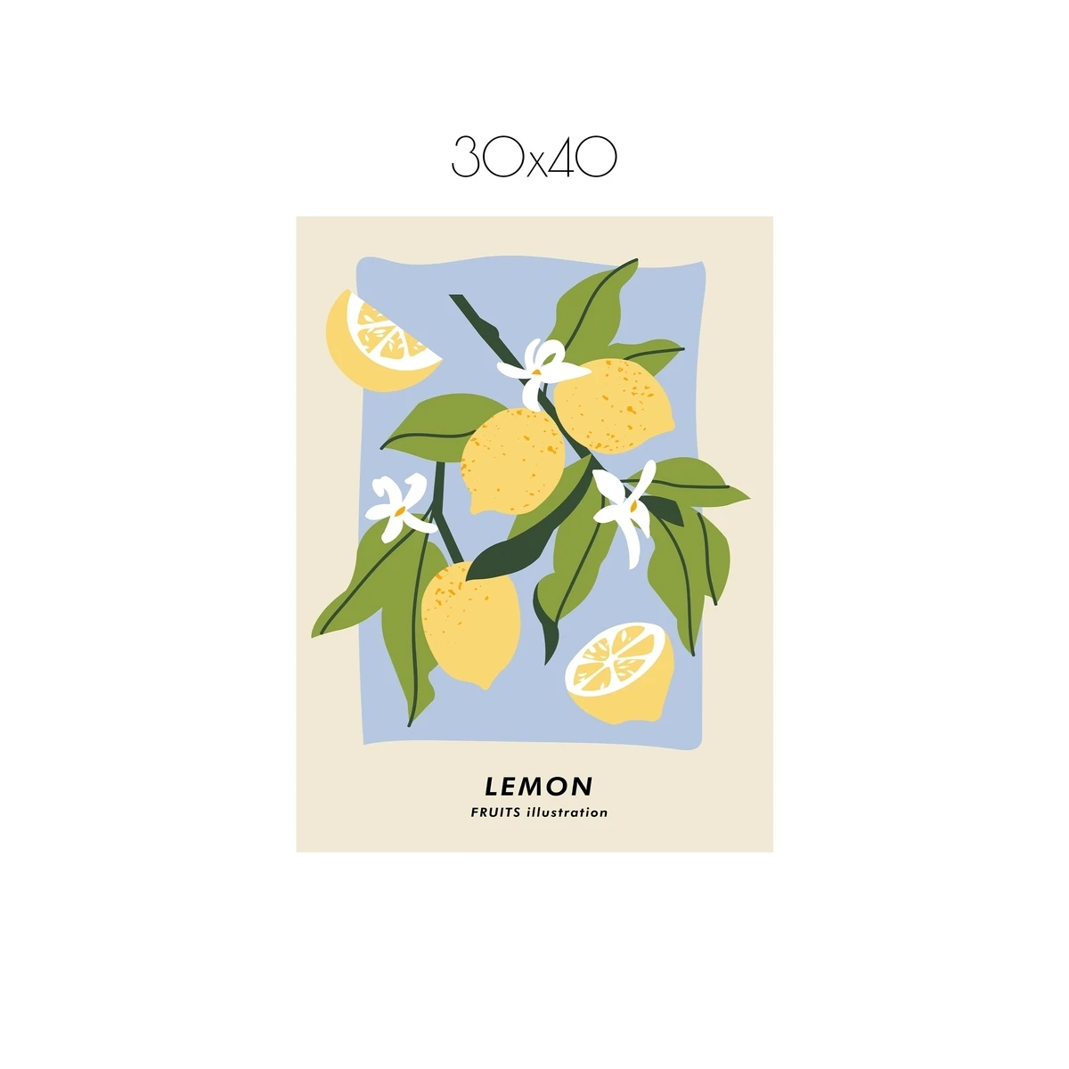 Постер Citydecor Фрукты арт. 5 (1 постер 30x40 см без рамы)