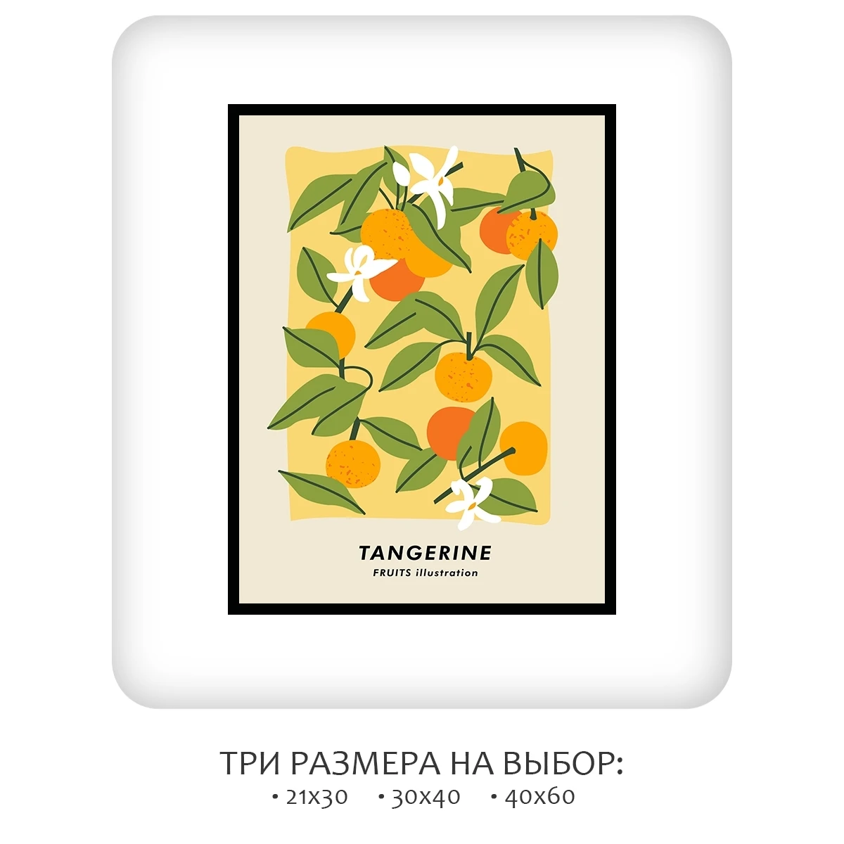Постер Citydecor Фрукты арт. 6 (1 постер 30x40 см без рамы)