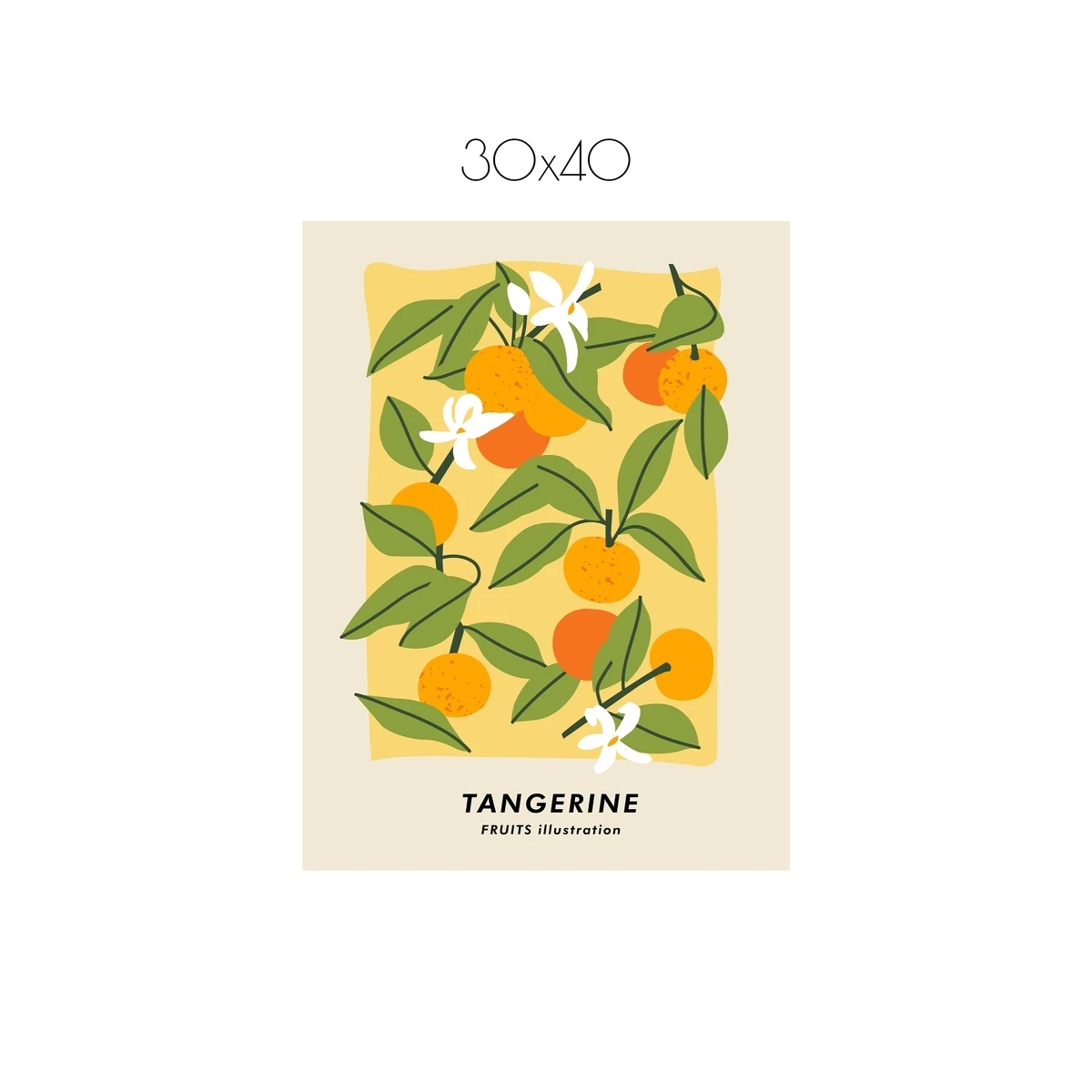 Постер Citydecor Фрукты арт. 6 (1 постер 30x40 см без рамы)
