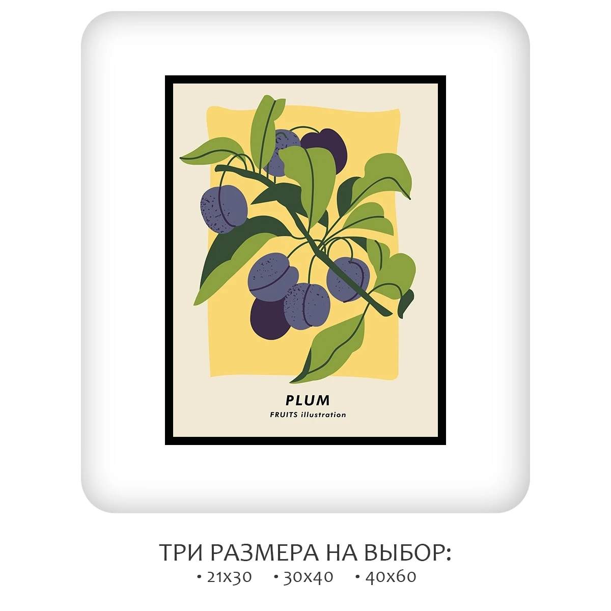 Постер Citydecor Фрукты арт. 8 (1 постер 30x40 см без рамы)