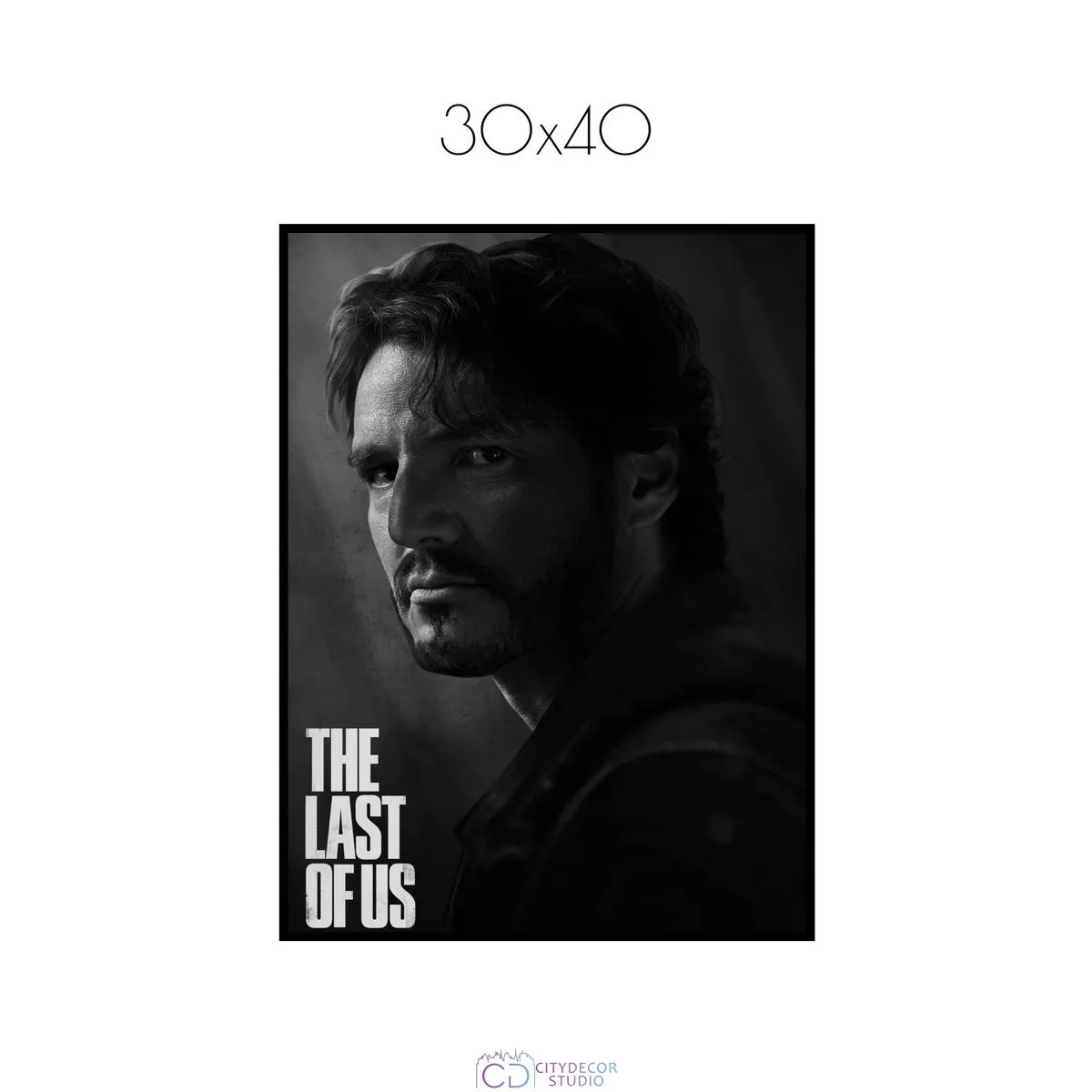 Постер Citydecor The Last Of Us арт. 6 (1 постер 30x40 см без рамы)