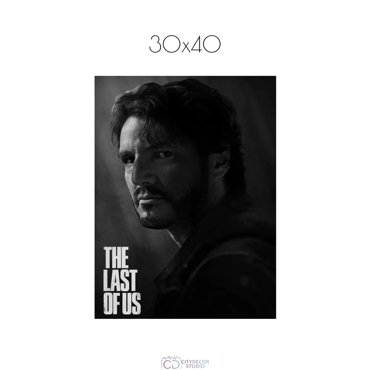 Постер Citydecor The Last Of Us арт. 6 (1 постер 30x40 см без рамы)