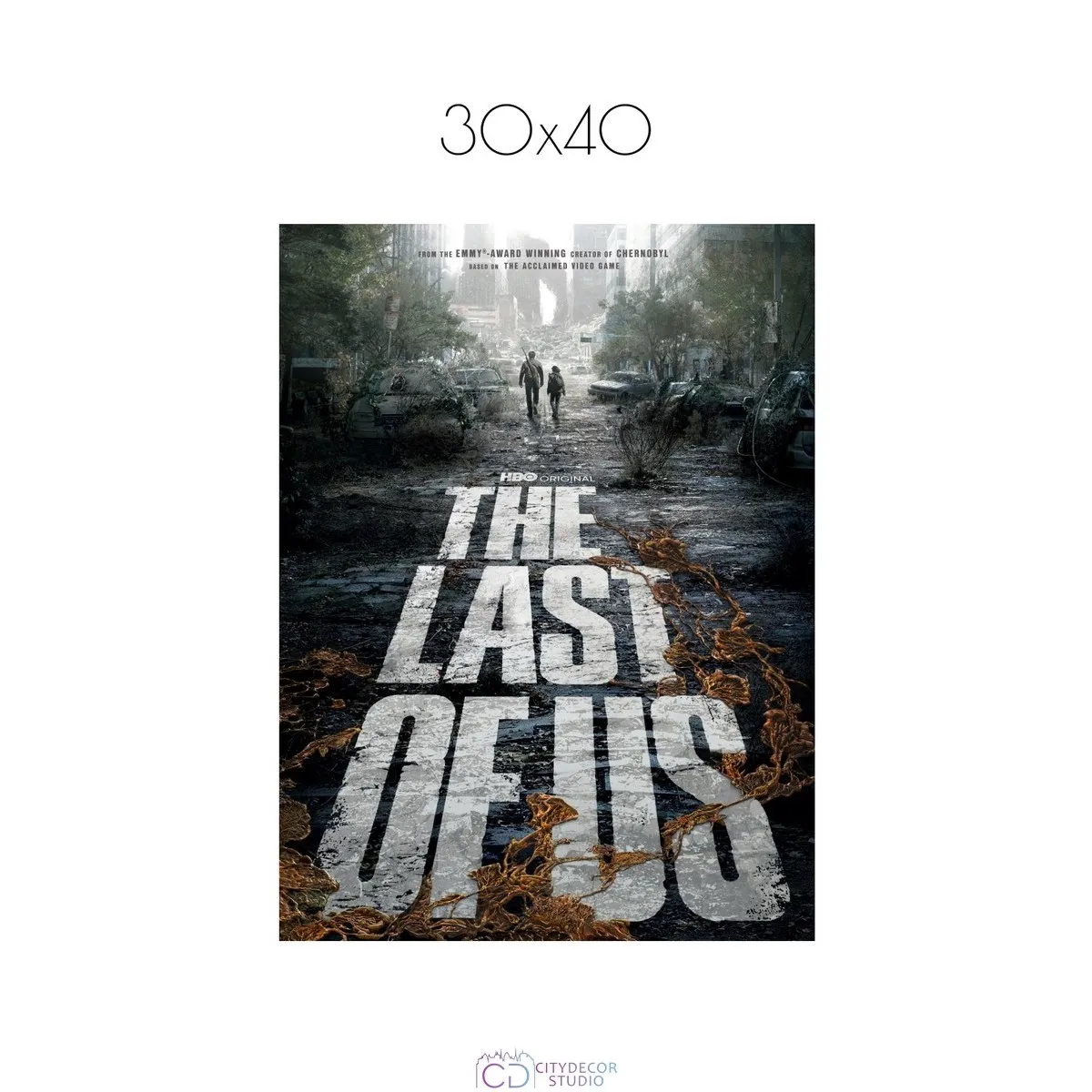 Постер Citydecor The Last Of Us арт. 8 (1 постер 30x40 см без рамы)