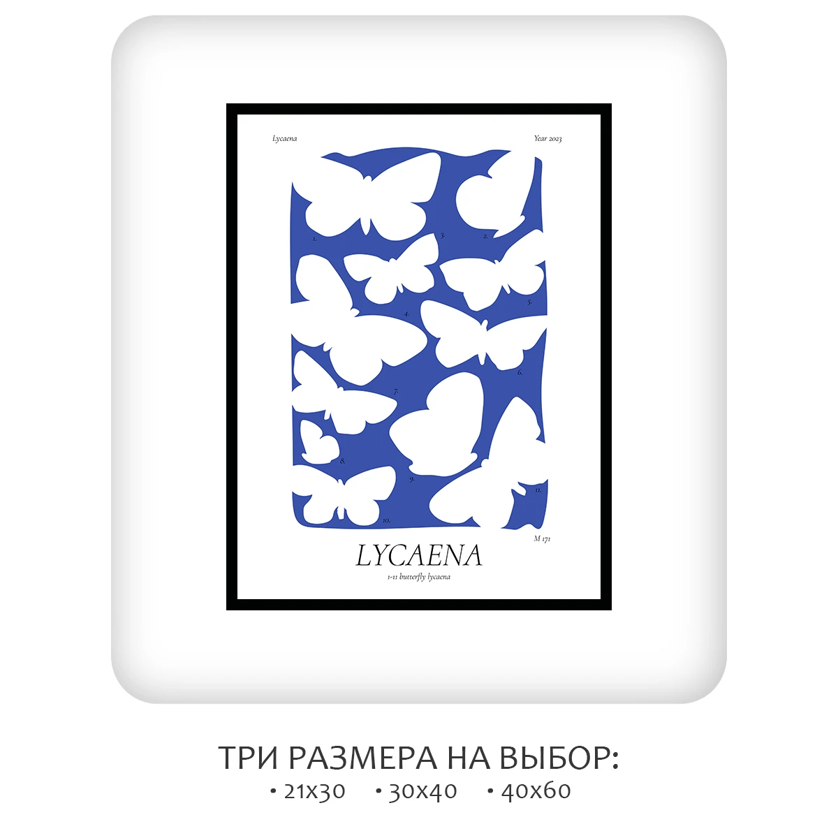 Постер Citydecor Lycaena (1 постер 30x40 см без рамы)