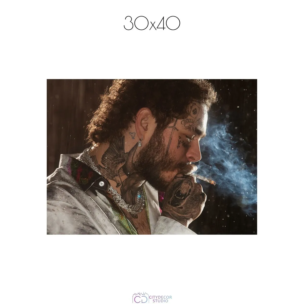 Постер Citydecor Post Malone арт. 1 (1 постер 30x40 см без рамы)