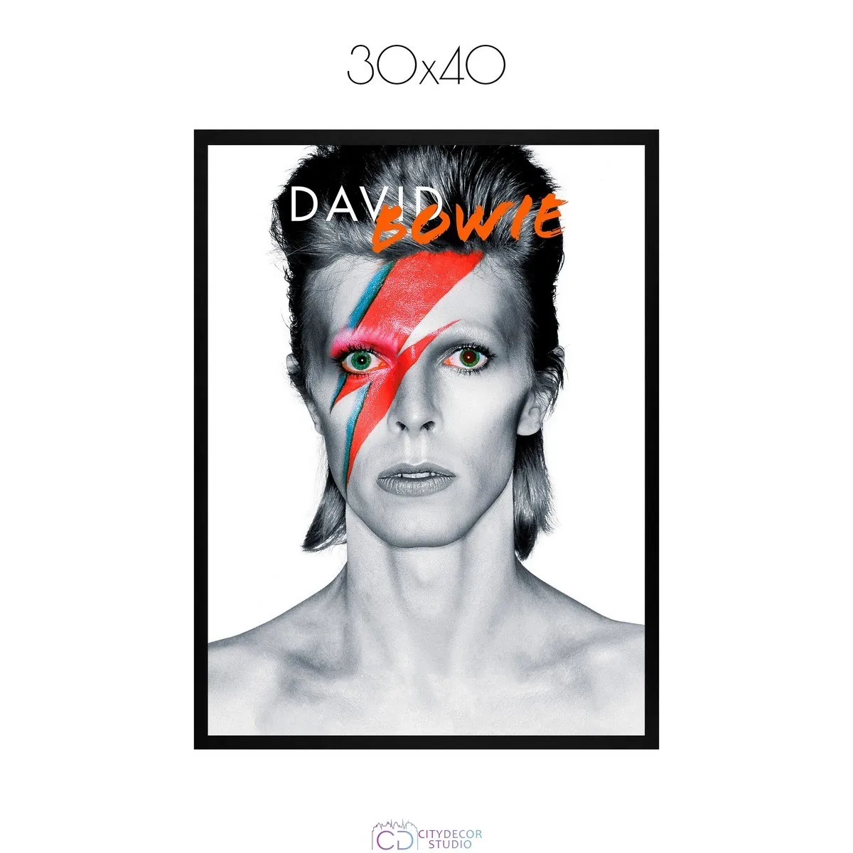 Постер Citydecor David Bowie арт. 1 (1 постер 30x40 см без рамы)