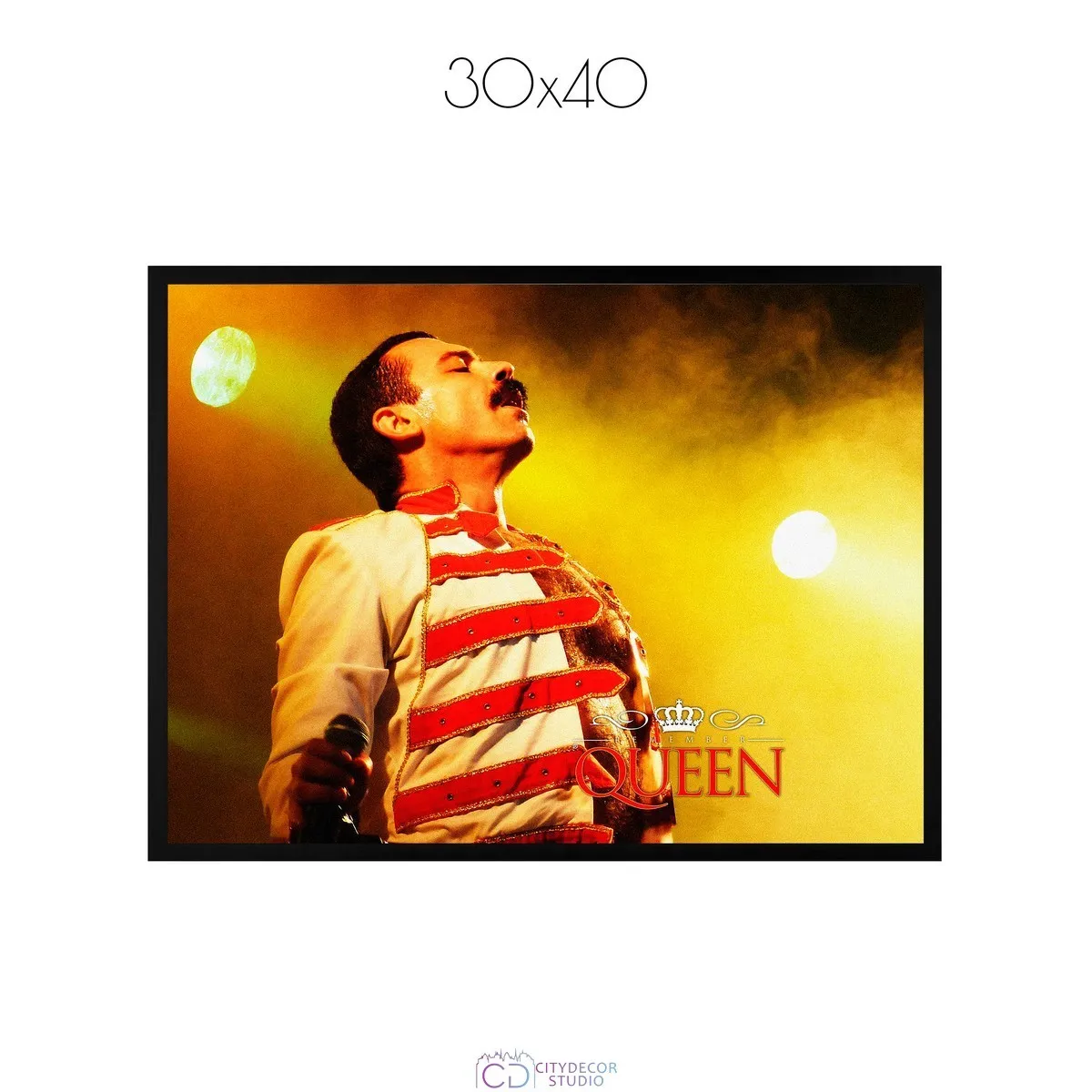 Постер Citydecor Freddie Mercury арт. 2 (1 постер 30x40 см без рамы)