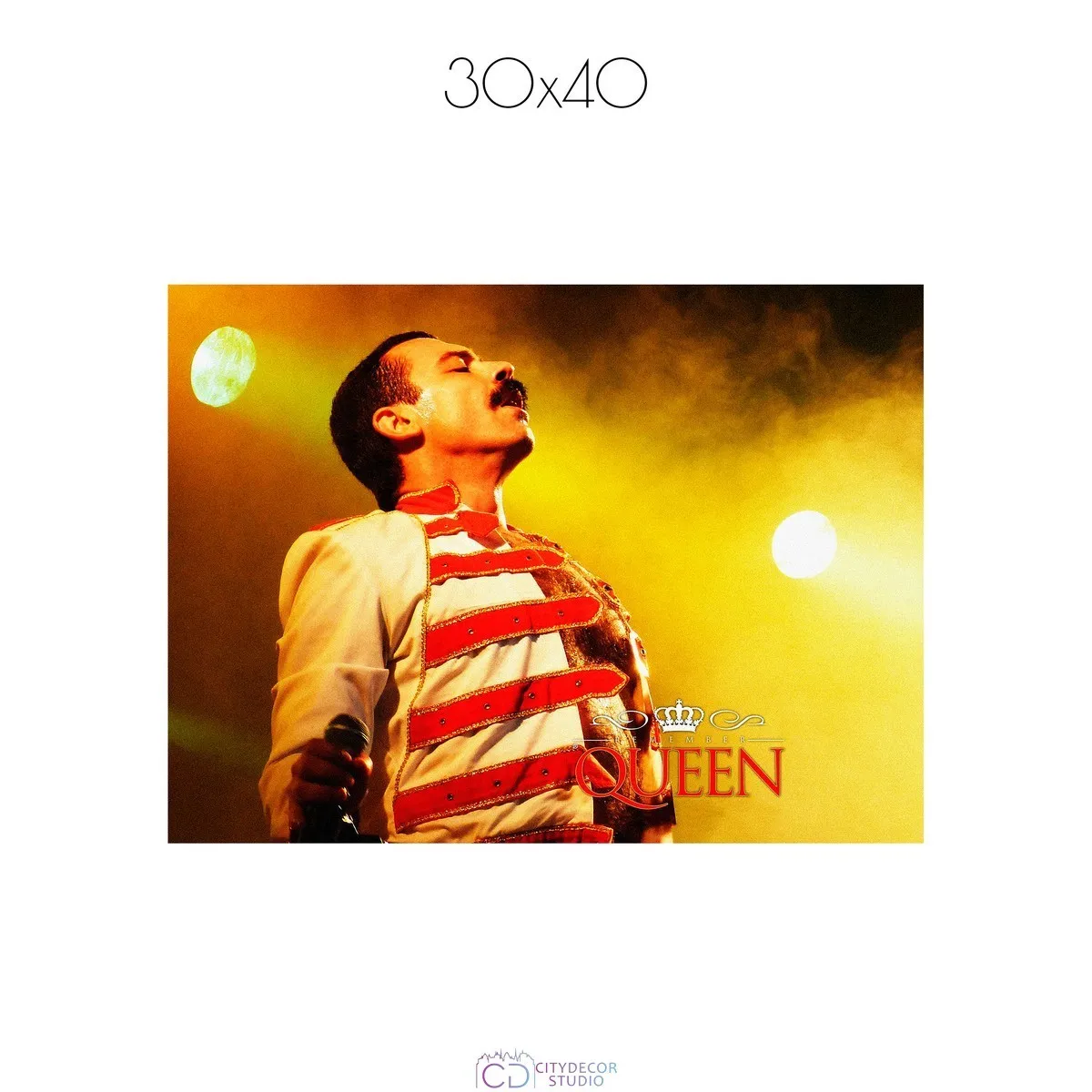Постер Citydecor Freddie Mercury арт. 2 (1 постер 30x40 см без рамы)