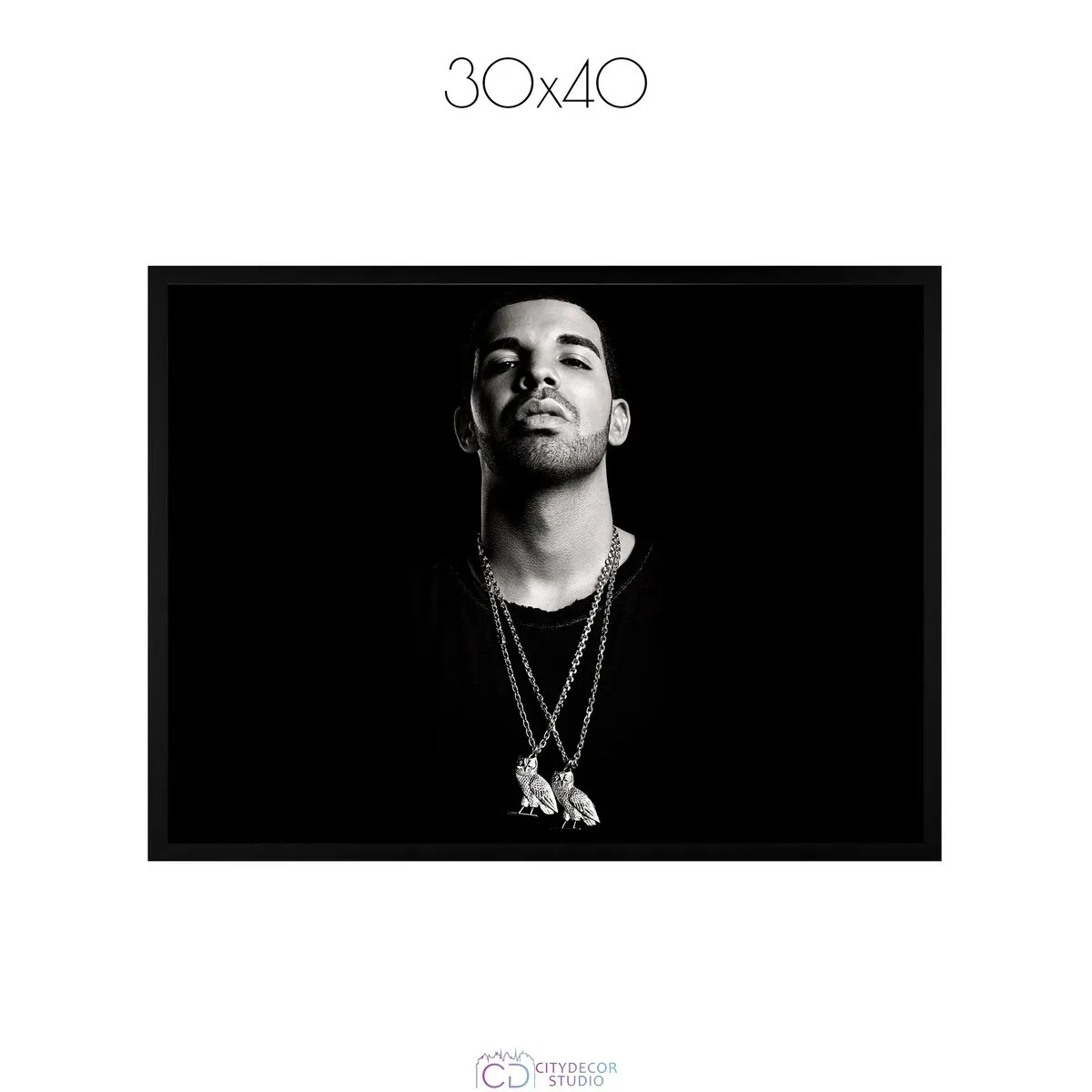 Постер Citydecor Drake арт. 1 (1 постер 30x40 см без рамы)