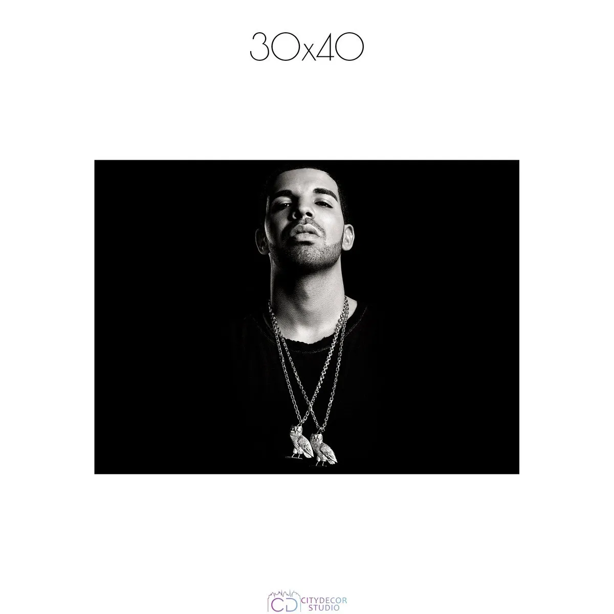 Постер Citydecor Drake арт. 1 (1 постер 30x40 см без рамы)