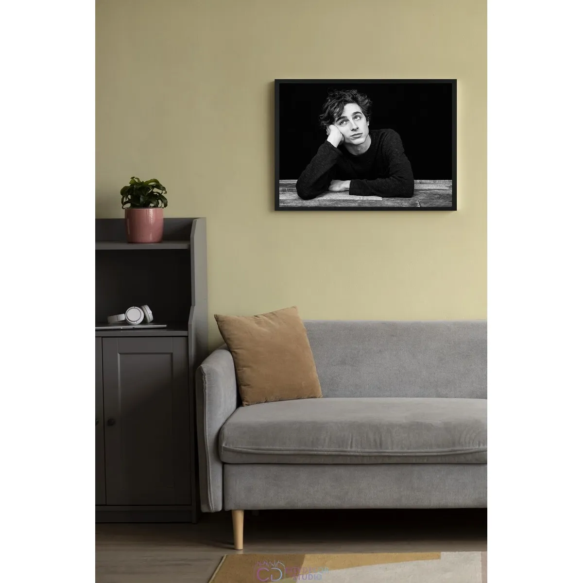 Постер Citydecor Timothee Chalamet арт. 1 (1 постер 30x40 см без рамы)