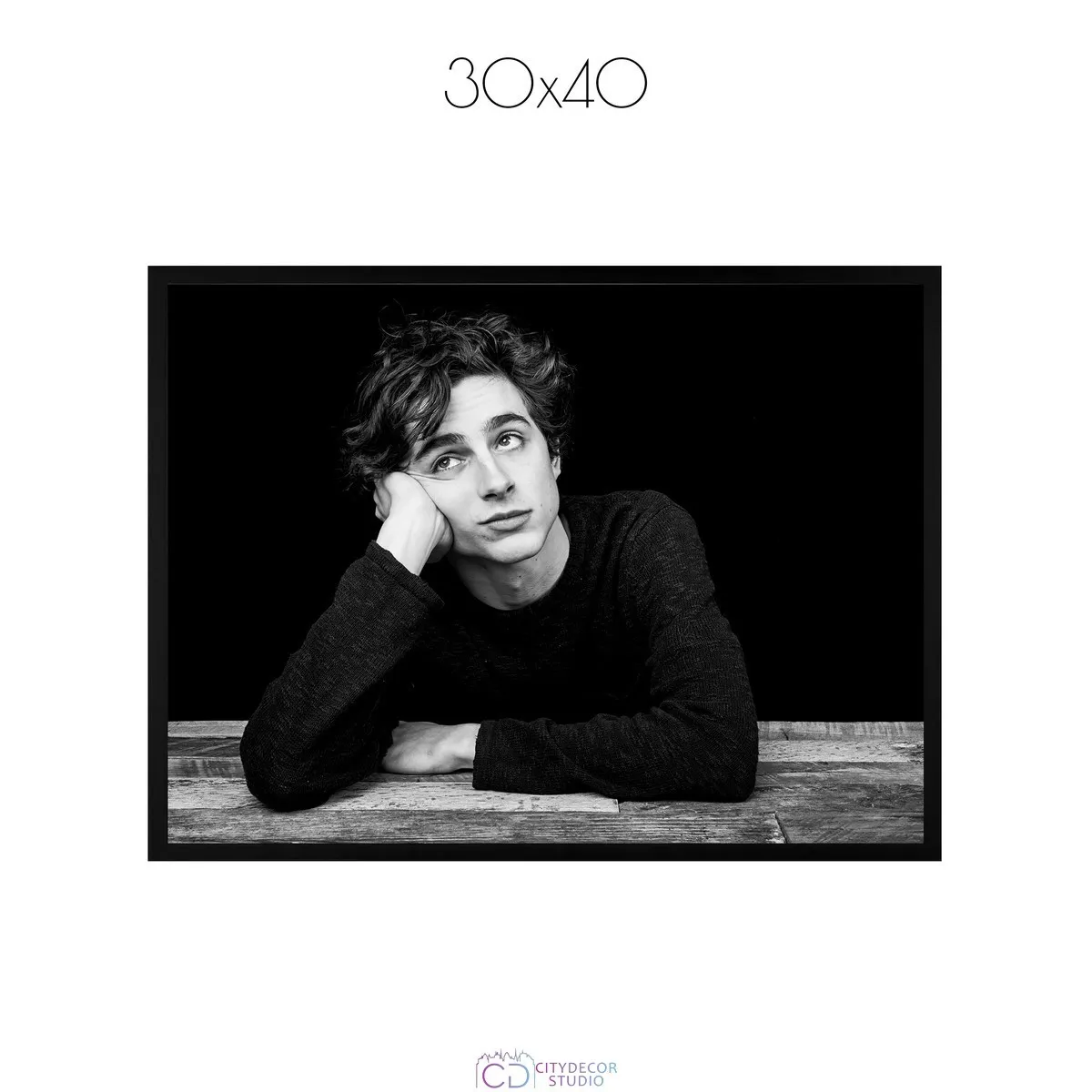 Постер Citydecor Timothee Chalamet арт. 1 (1 постер 30x40 см без рамы)