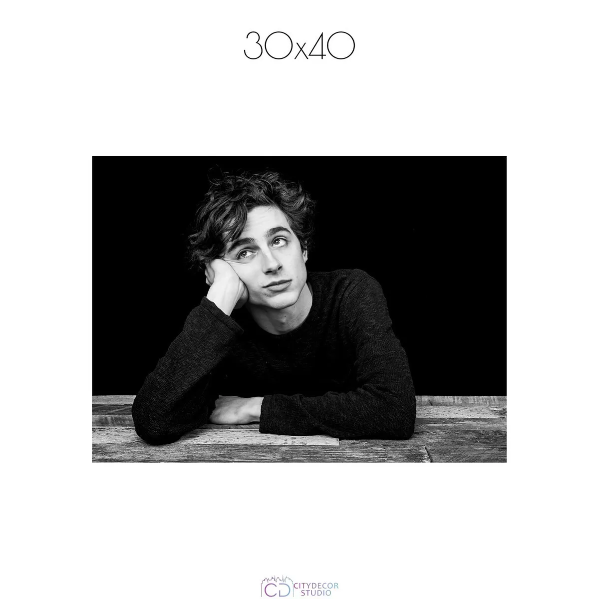 Постер Citydecor Timothee Chalamet арт. 1 (1 постер 30x40 см без рамы)