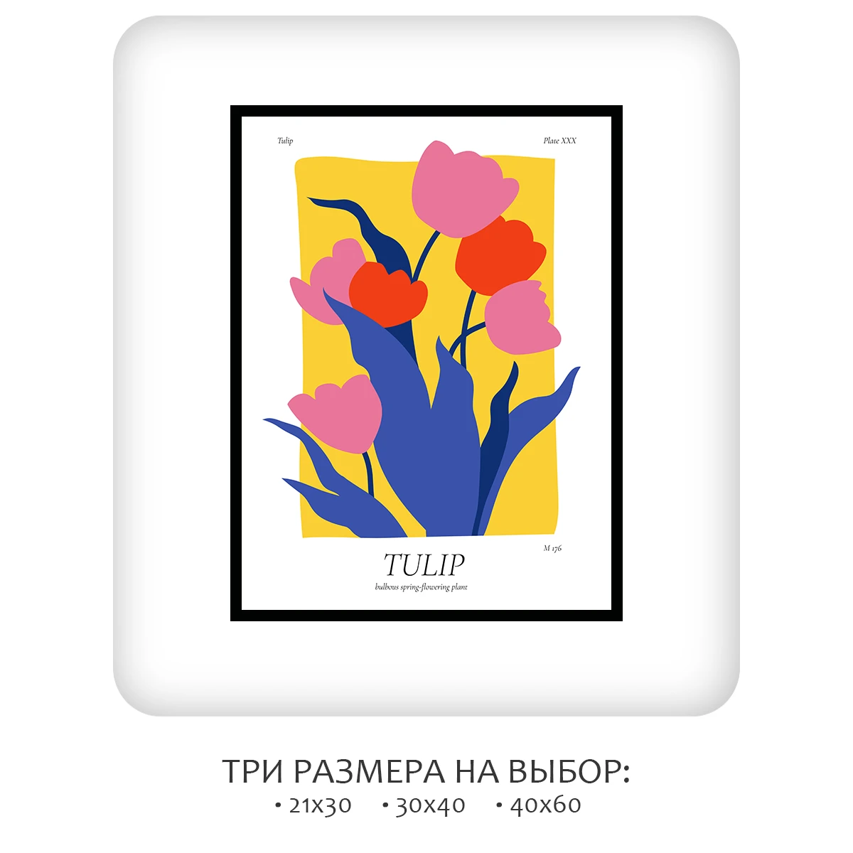 Постер Citydecor Tulip (1 постер 30x40 см без рамы)
