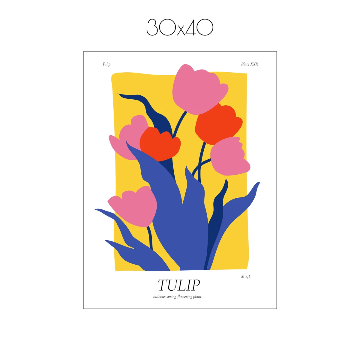 Постер Citydecor Tulip (1 постер 30x40 см без рамы)