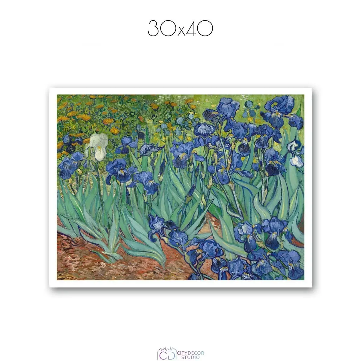 Постер Citydecor "Ирисы", Винсент ван Гог. Репродукция (1 постер 30x40 см без рамы)
