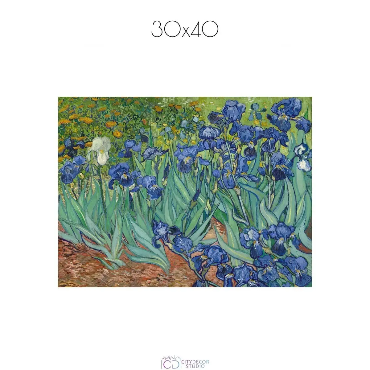 Постер Citydecor "Ирисы", Винсент ван Гог. Репродукция (1 постер 30x40 см без рамы)