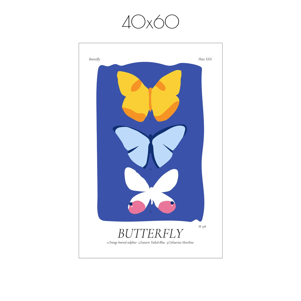 Постер Citydecor Butterfly (1 постер 40x60 см без рамы)