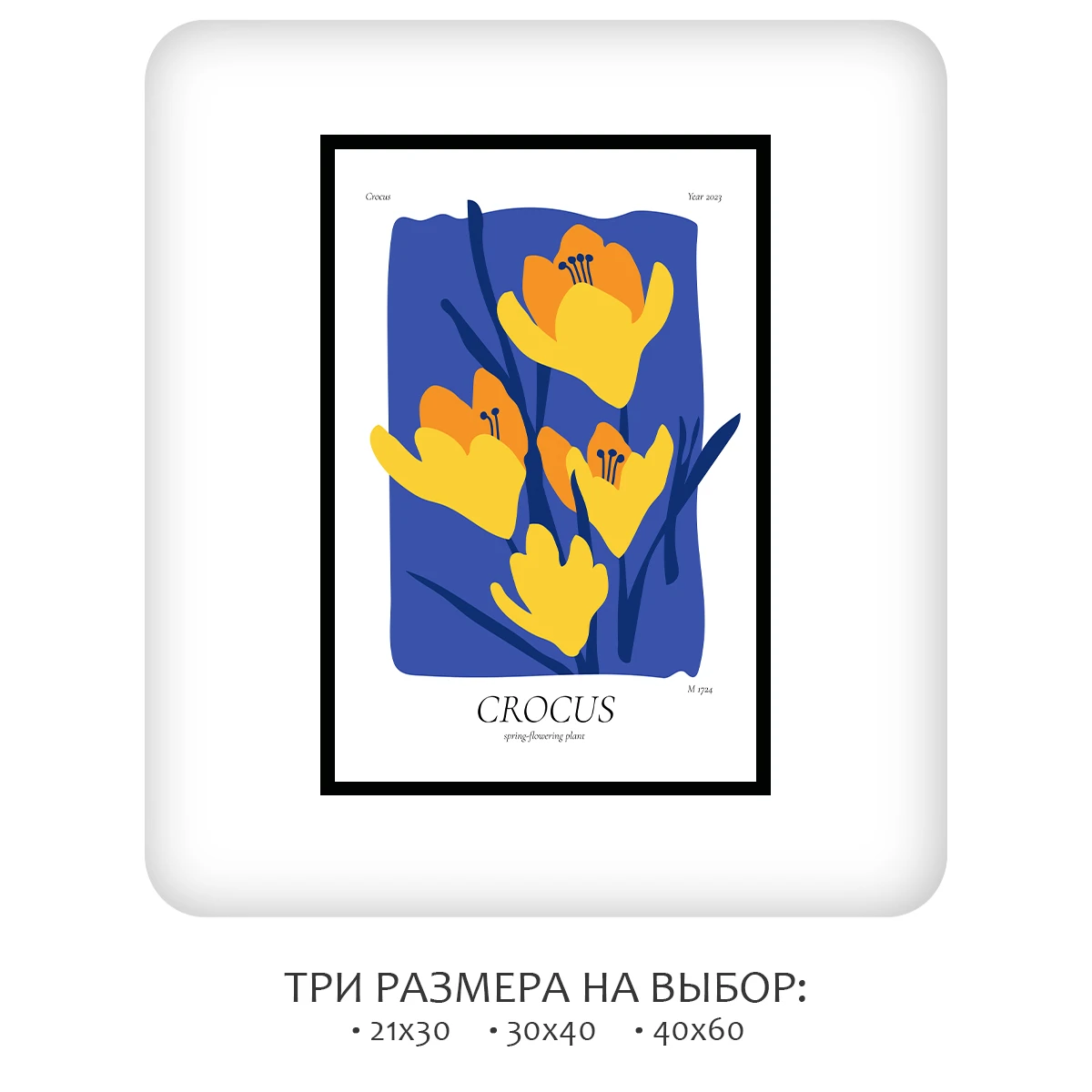 Постер Citydecor Crocus (1 постер 40x60 см без рамы)