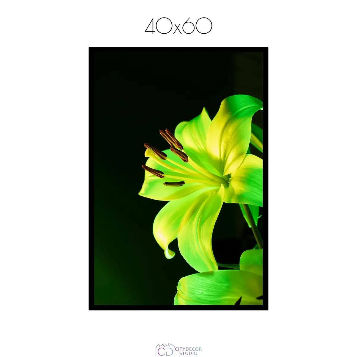 Постер Citydecor Цветы арт. 13 (1 постер 40x60 см без рамы)