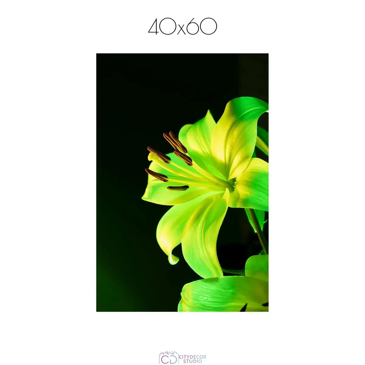 Постер Citydecor Цветы арт. 13 (1 постер 40x60 см без рамы)