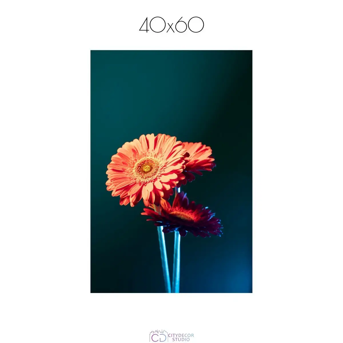 Постер Citydecor Цветы арт. 1 (1 постер 40x60 см без рамы)
