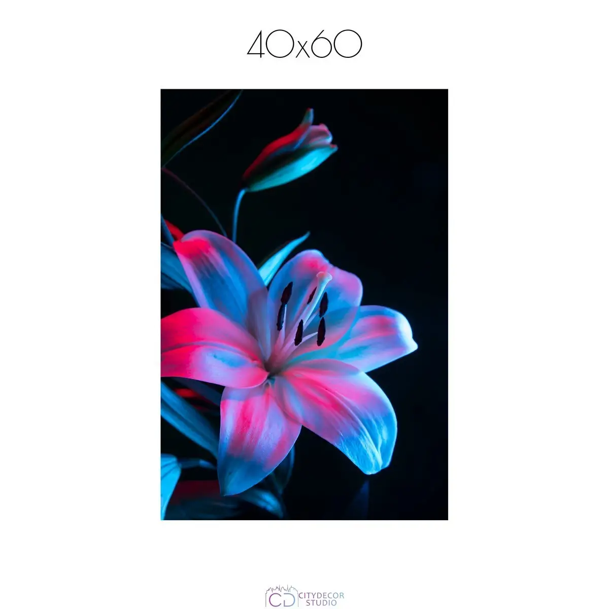 Постер Citydecor Цветы арт. 3 (1 постер 40x60 см без рамы)