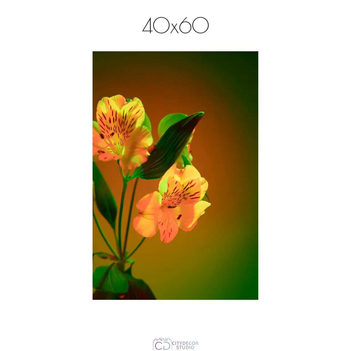Постер Citydecor Цветы арт. 4 (1 постер 40x60 см без рамы)