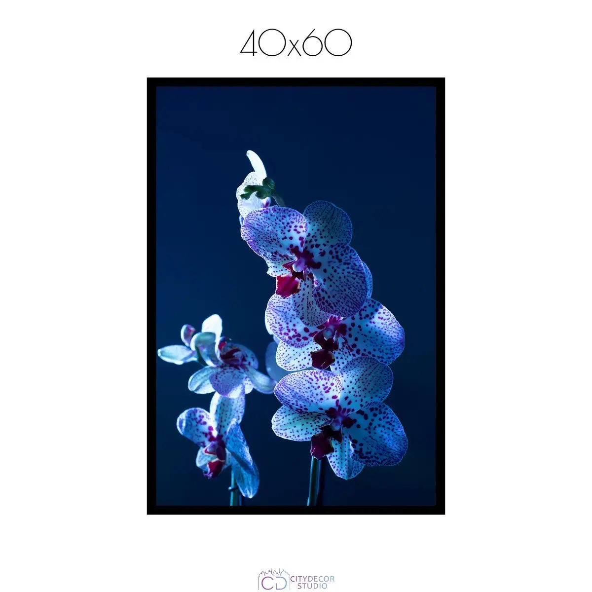 Постер Citydecor Цветы арт. 5 (1 постер 40x60 см без рамы)