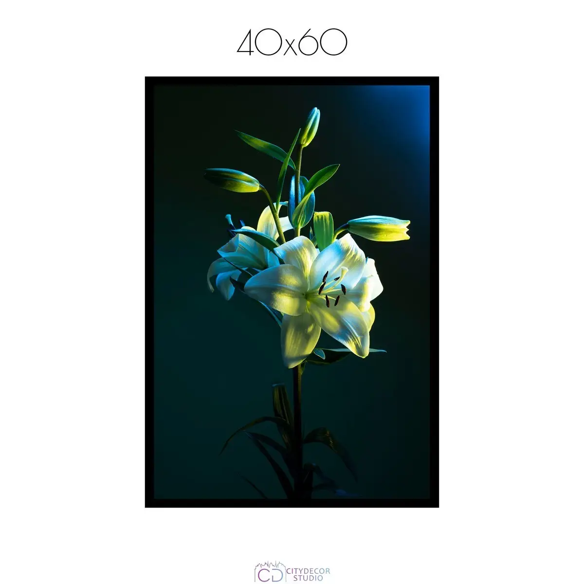Постер Citydecor Цветы арт. 6 (1 постер 40x60 см без рамы)
