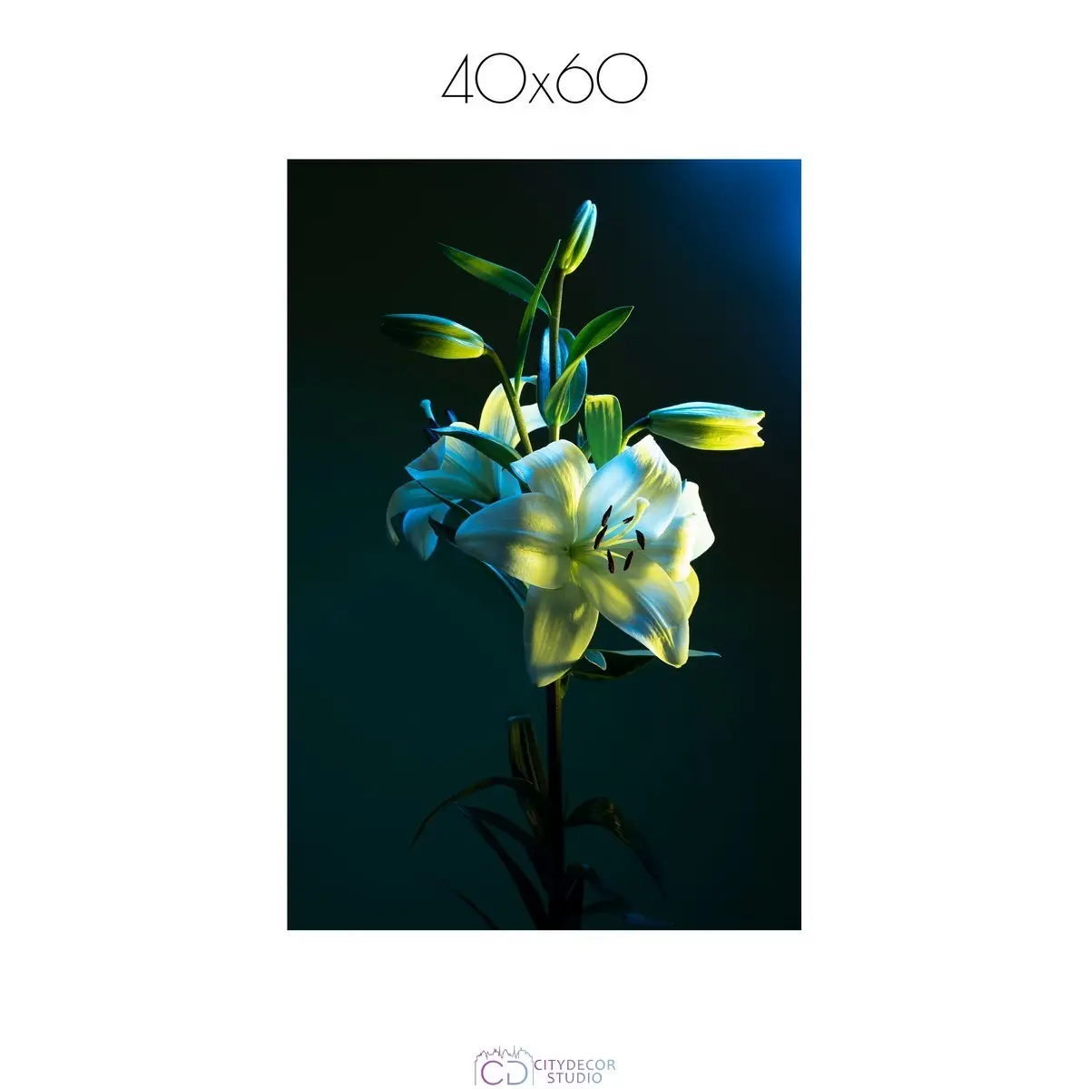 Постер Citydecor Цветы арт. 6 (1 постер 40x60 см без рамы)