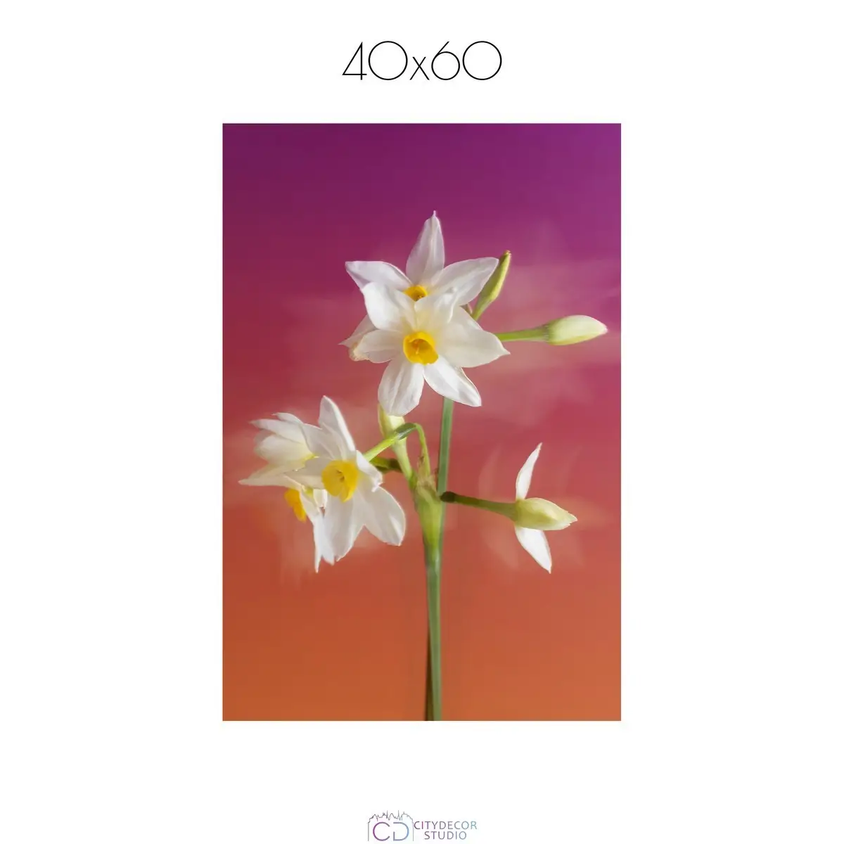 Постер Citydecor Цветы арт. 7 (1 постер 40x60 см без рамы)
