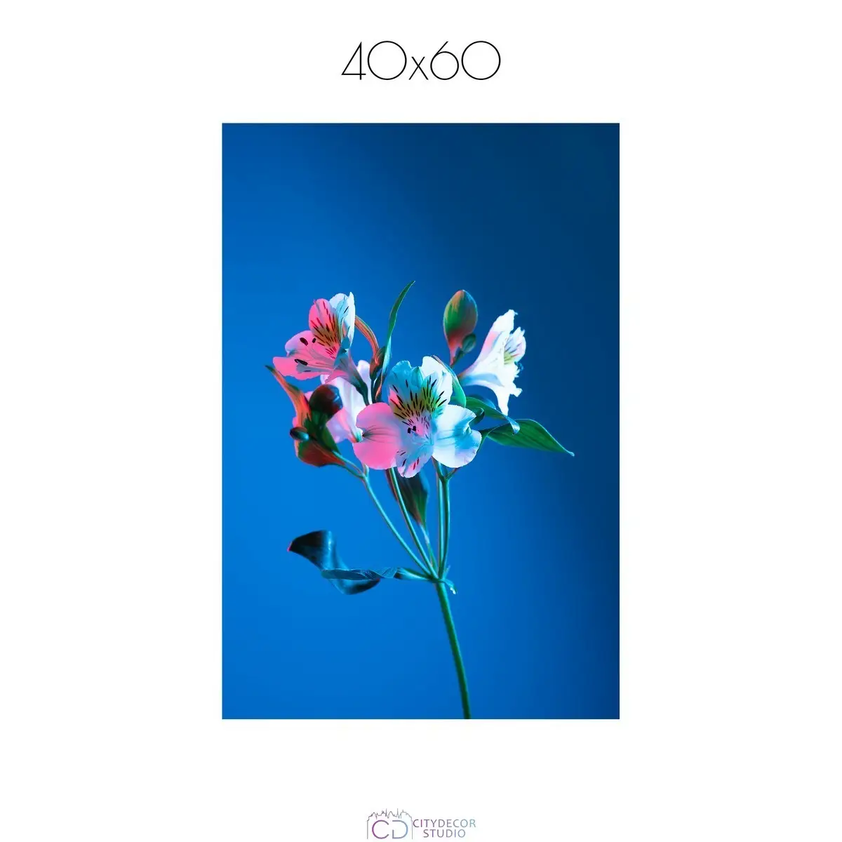 Постер Citydecor Цветы арт. 8 (1 постер 40x60 см без рамы)
