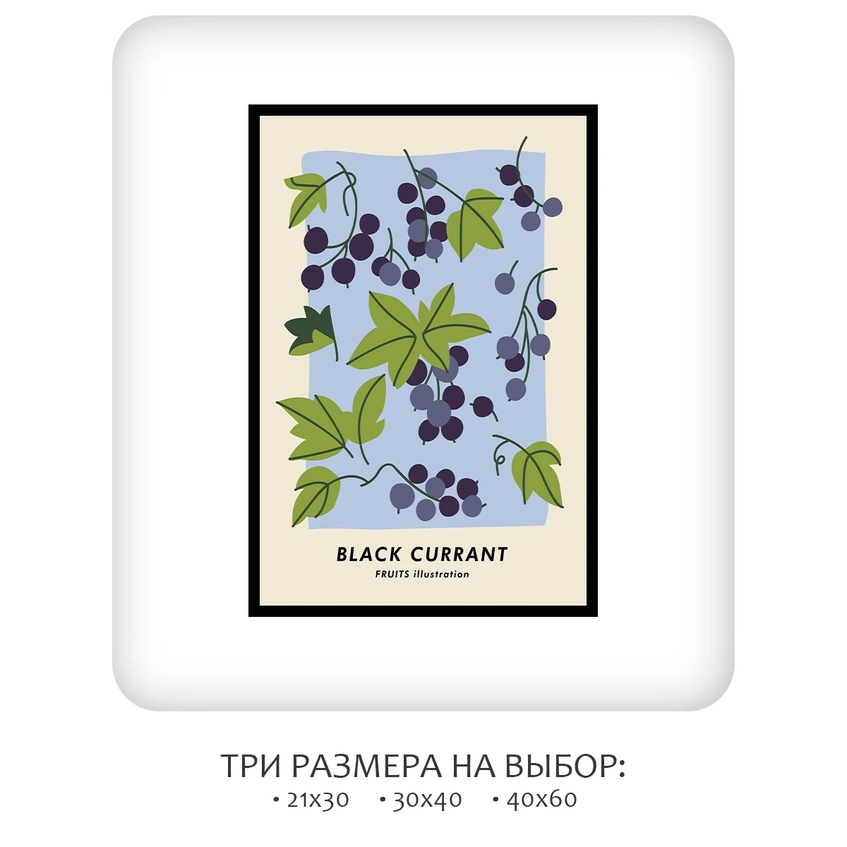 Постер Citydecor Фрукты арт. 10 (1 постер 40x60 см без рамы)