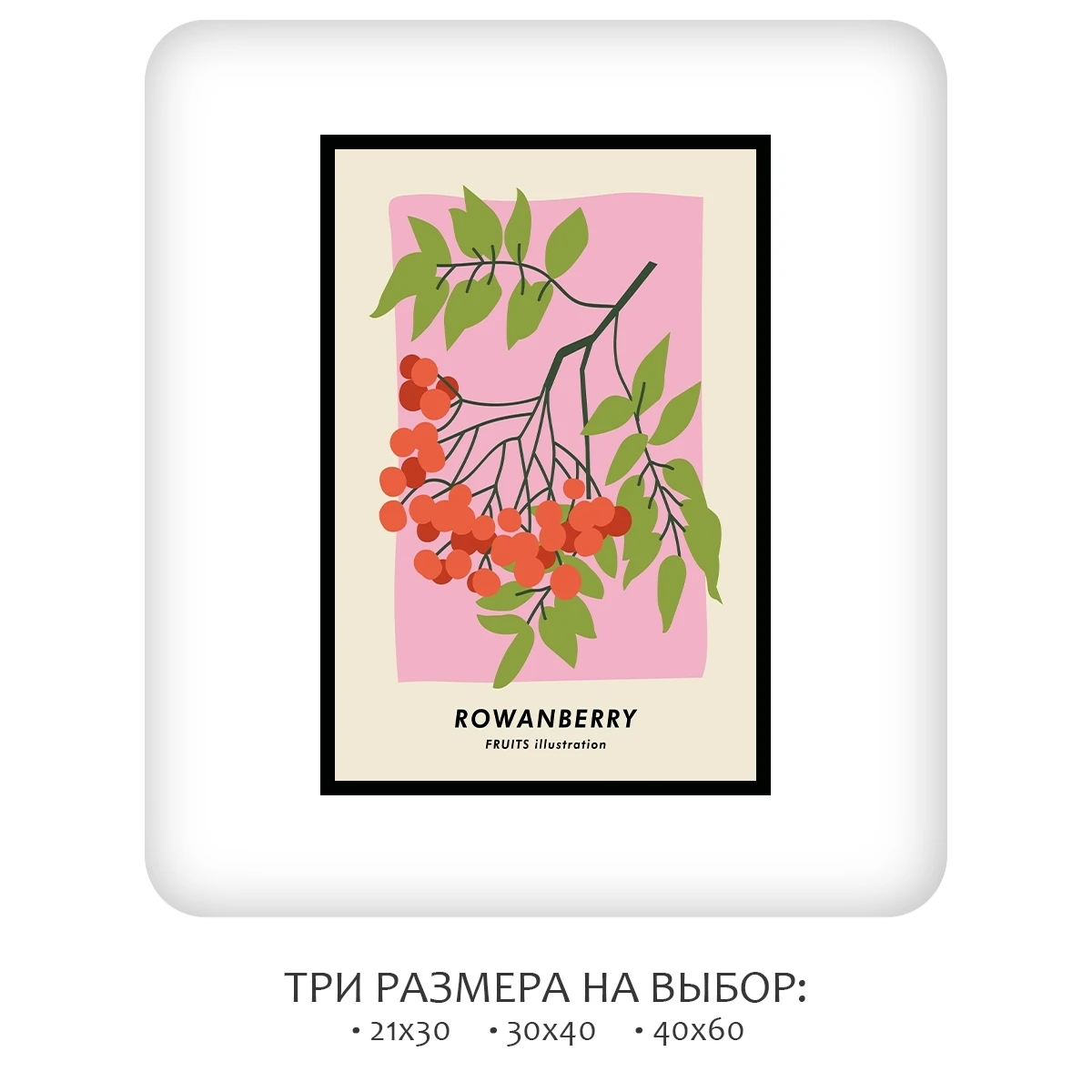 Постер Citydecor Фрукты арт. 4 (1 постер 40x60 см без рамы)