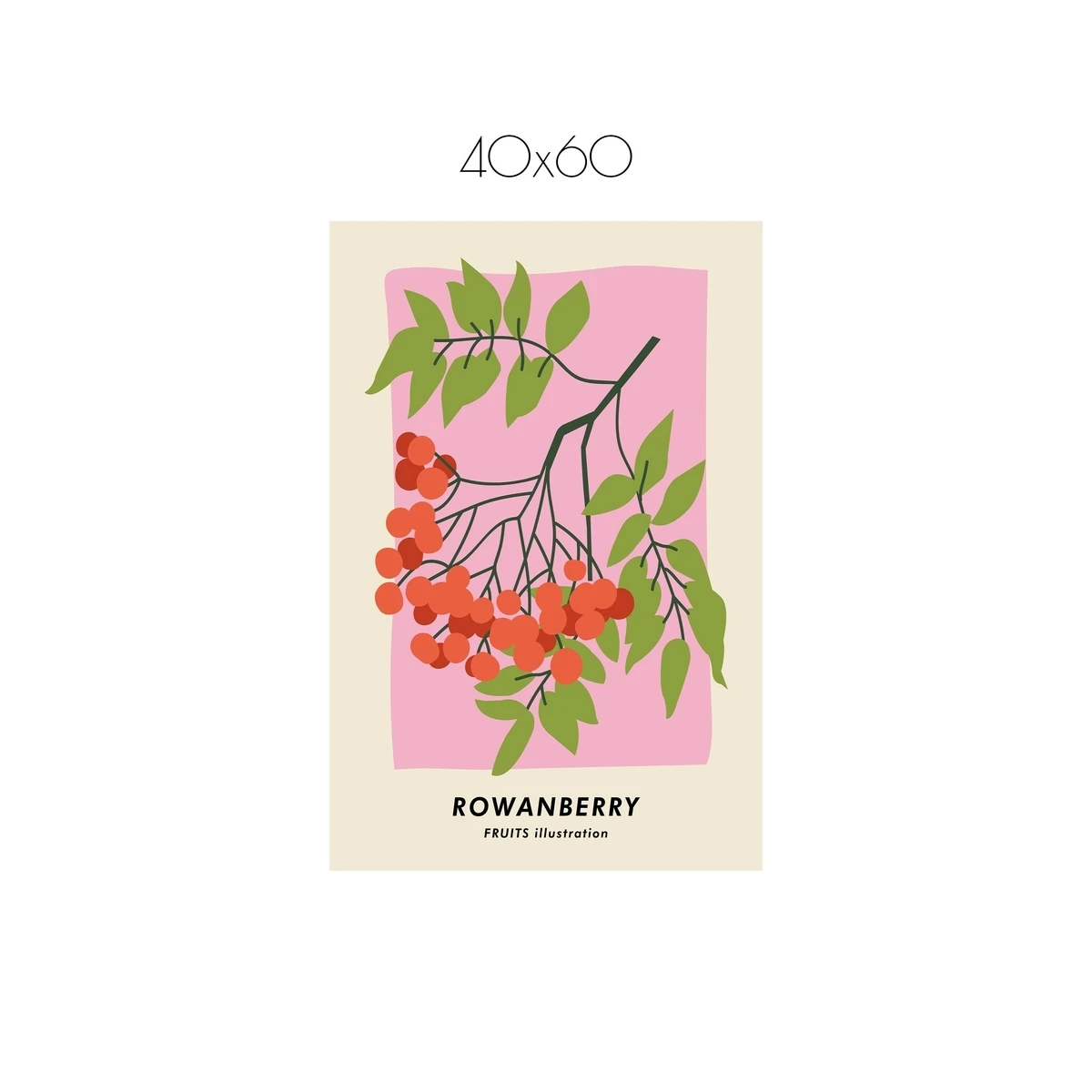 Постер Citydecor Фрукты арт. 4 (1 постер 40x60 см без рамы)