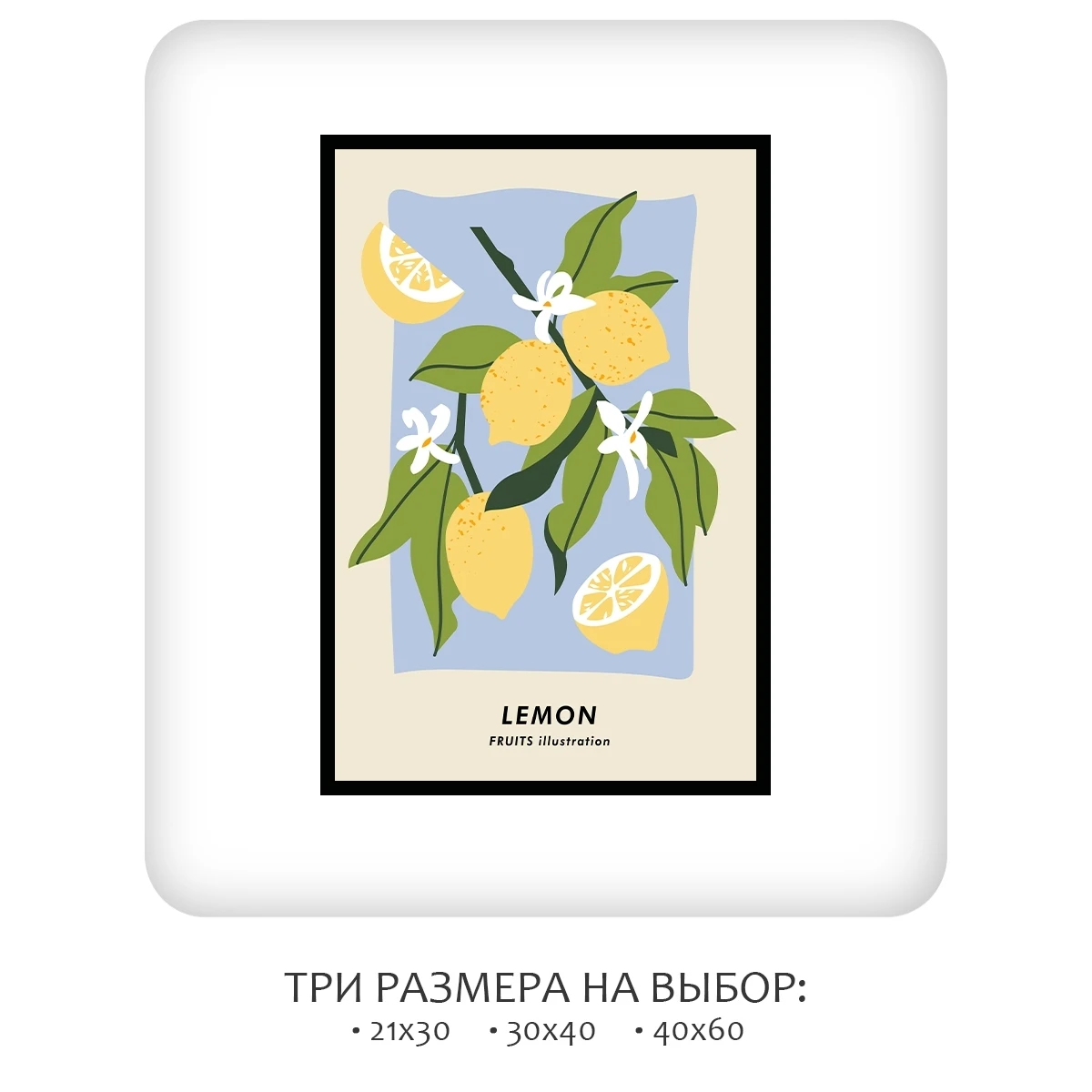 Постер Citydecor Фрукты арт. 5 (1 постер 40x60 см без рамы)