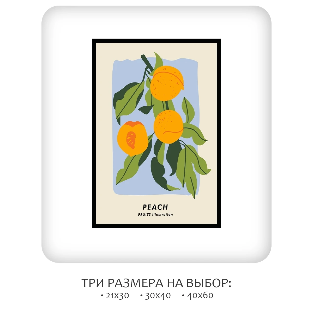 Постер Citydecor Фрукты арт. 7 (1 постер 40x60 см без рамы)