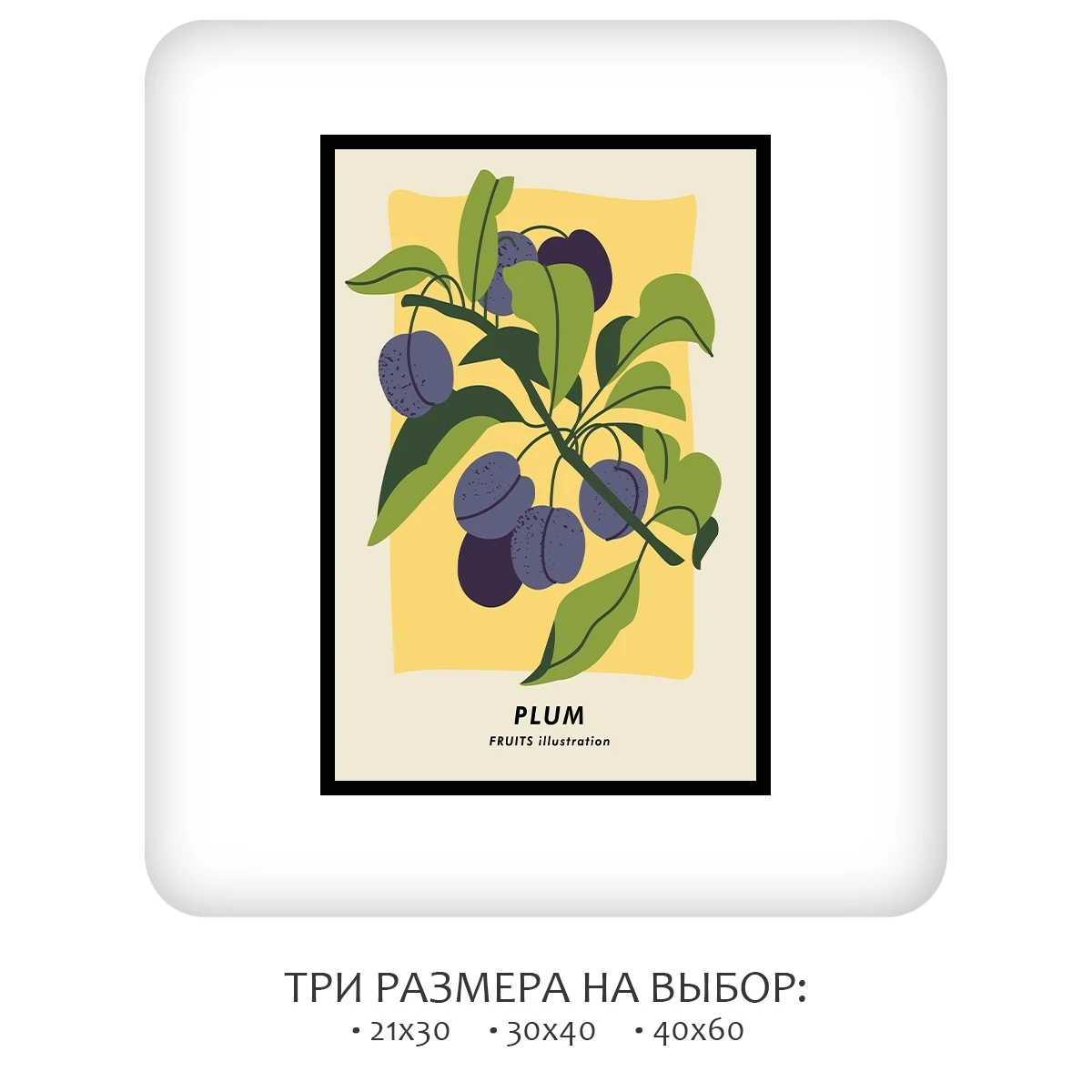 Постер Citydecor Фрукты арт. 8 (1 постер 40x60 см без рамы)