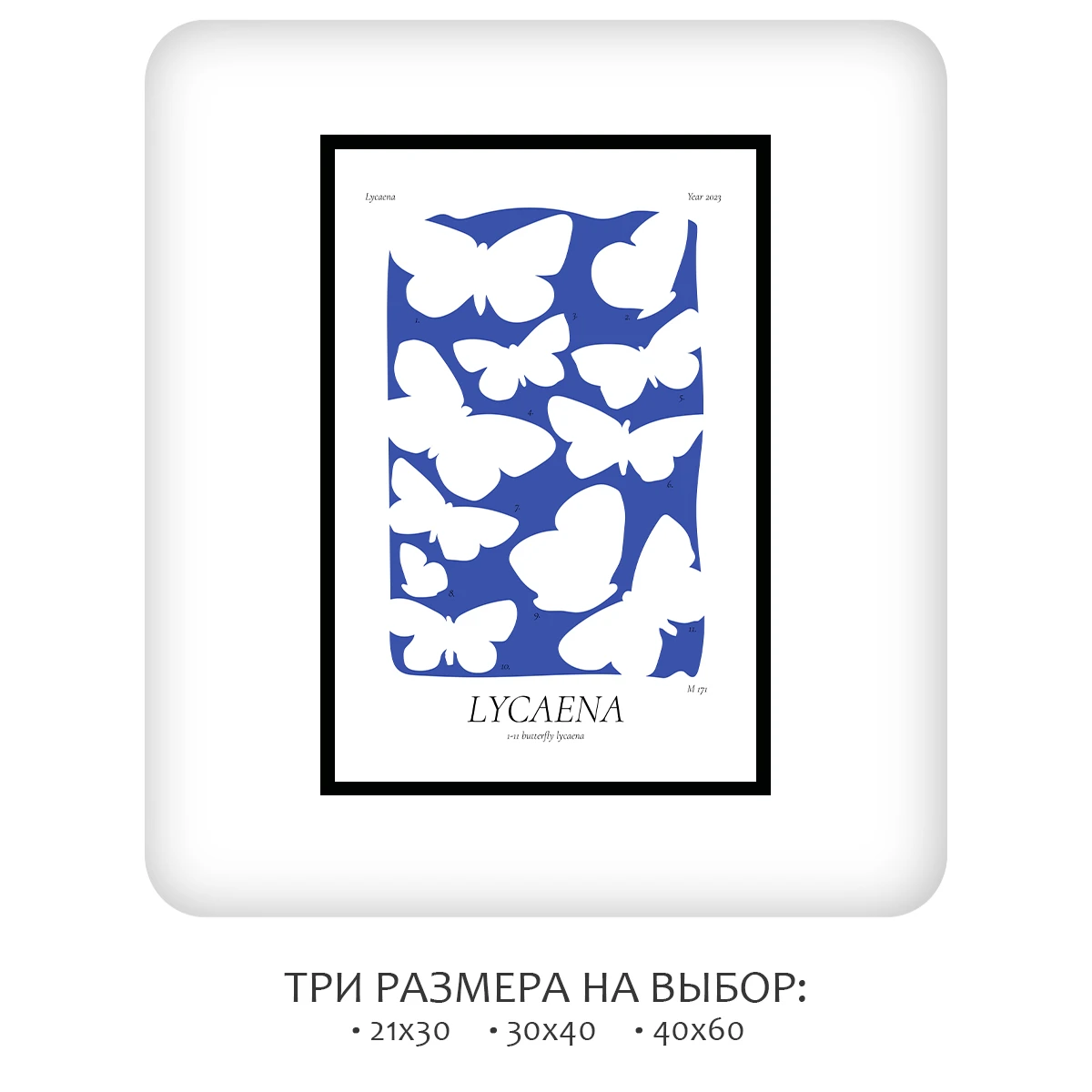 Постер Citydecor Lycaena (1 постер 40x60 см без рамы)