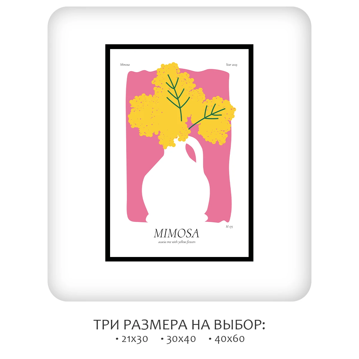 Постер Citydecor Mimosa (1 постер 40x60 см без рамы)